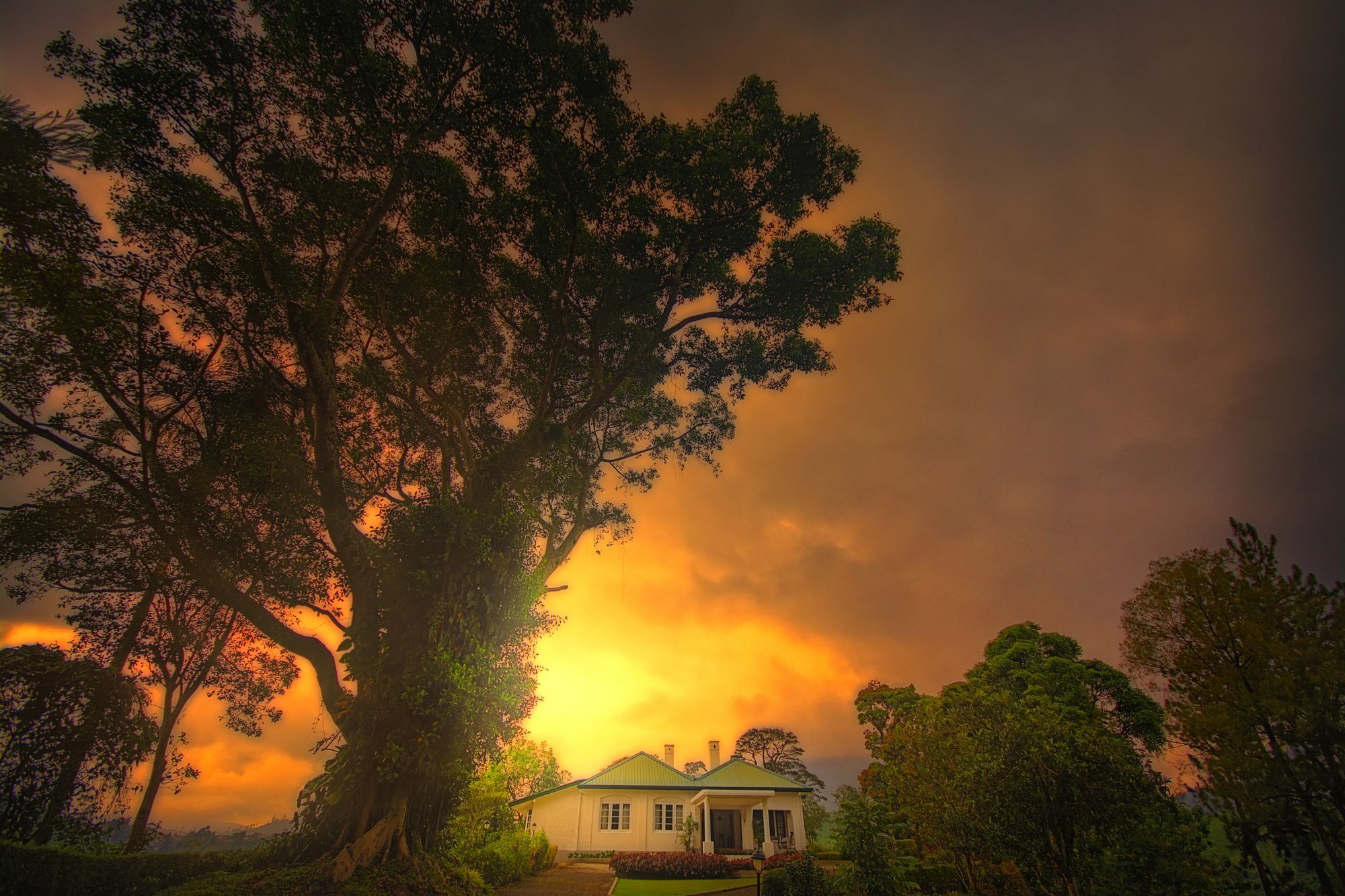 Craig Appin Bungalow Dickoya Bagian luar foto